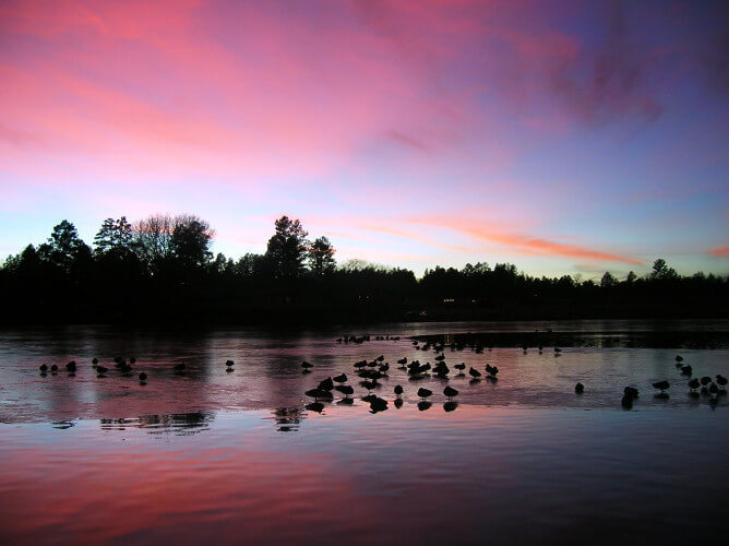Lake of the Woods pink sunset